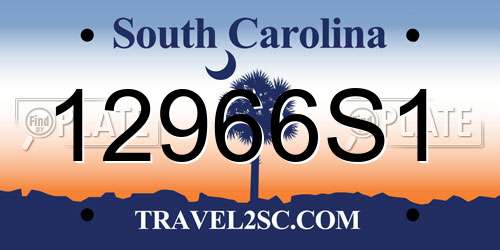 12966S1 South Carolina License Plate