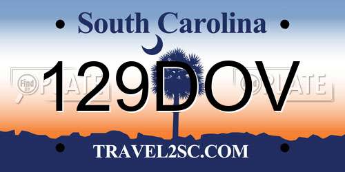 129DOV South Carolina License Plate