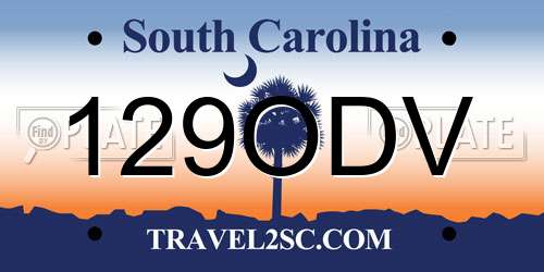 129ODV South Carolina License Plate
