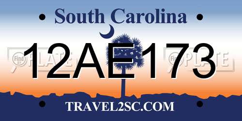 12AE173 South Carolina License Plate