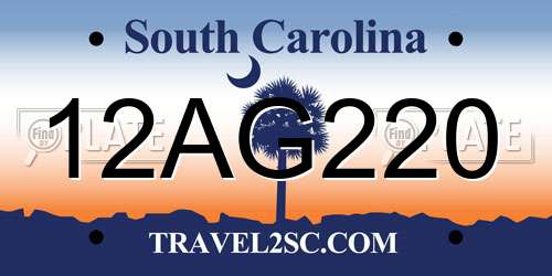 12AG220 South Carolina License Plate