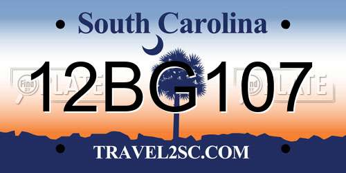 12BG107 South Carolina License Plate