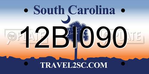 12BI090 South Carolina License Plate