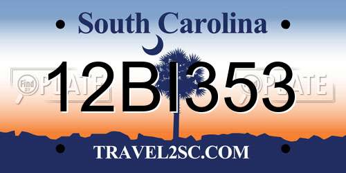 12BI353 South Carolina License Plate