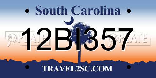 12BI357 South Carolina License Plate