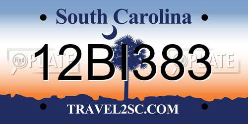 12BI383 South Carolina License Plate