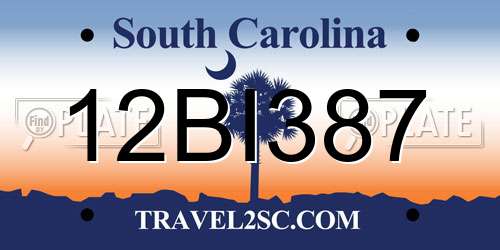 12BI387 South Carolina License Plate