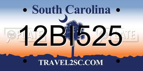 12BI525 South Carolina License Plate