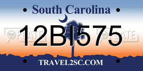 12BI575 South Carolina License Plate