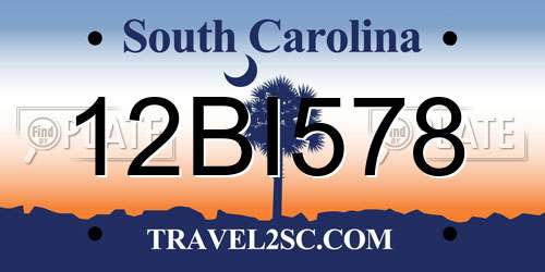 12BI578 South Carolina License Plate