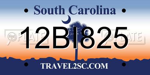 12BI825 South Carolina License Plate