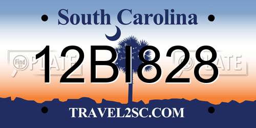 12BI828 South Carolina License Plate