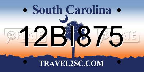 12BI875 South Carolina License Plate