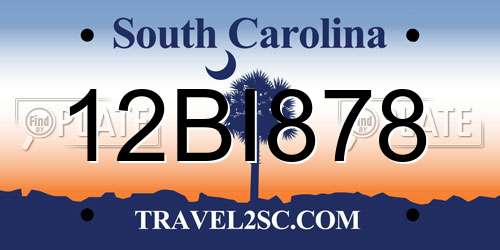 12BI878 South Carolina License Plate