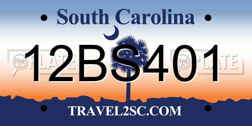 12BS401 South Carolina License Plate