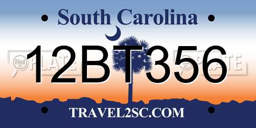 12BT356 South Carolina License Plate