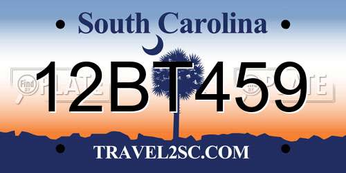 12BT459 South Carolina License Plate