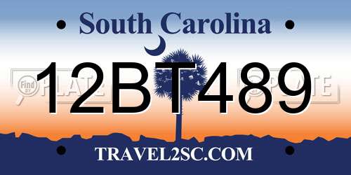 12BT489 South Carolina License Plate