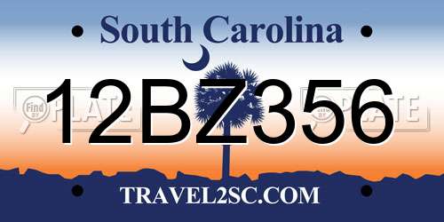 12BZ356 South Carolina License Plate