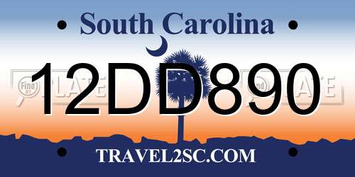 12DD890 South Carolina License Plate
