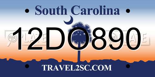 12DO890 South Carolina License Plate