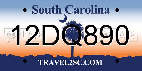 12DQ890 South Carolina License Plate