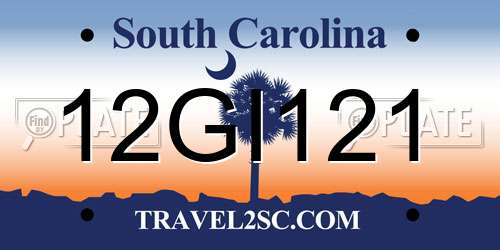 12GI121 South Carolina License Plate