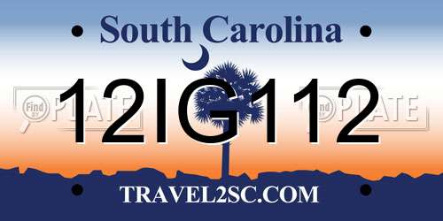 12IG112 South Carolina License Plate