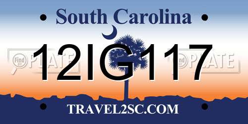 12IG117 South Carolina License Plate
