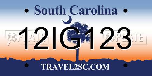 12IG123 South Carolina License Plate