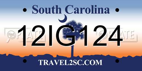 12IG124 South Carolina License Plate