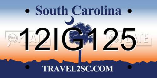 12IG125 South Carolina License Plate
