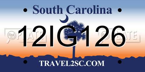 12IG126 South Carolina License Plate