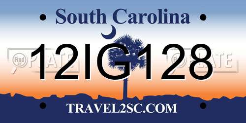 12IG128 South Carolina License Plate