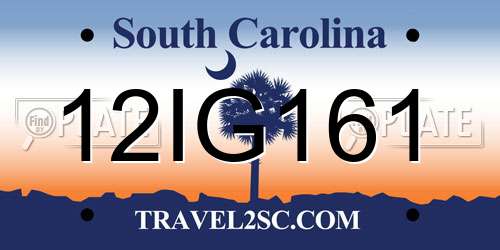 12IG161 South Carolina License Plate