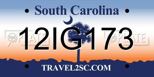 12IG173 South Carolina License Plate