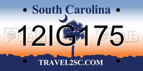12IG175 South Carolina License Plate