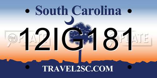 12IG181 South Carolina License Plate