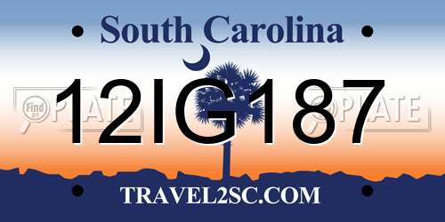 12IG187 South Carolina License Plate