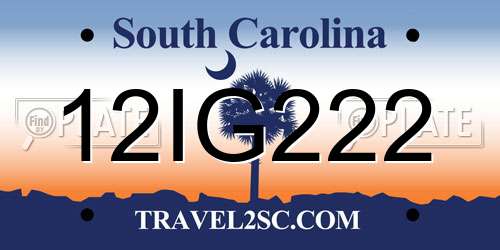 12IG222 South Carolina License Plate
