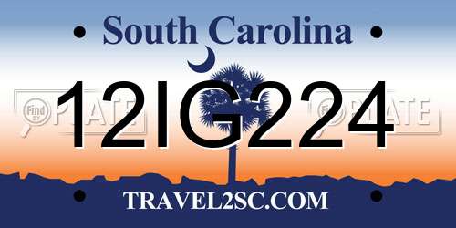 12IG224 South Carolina License Plate