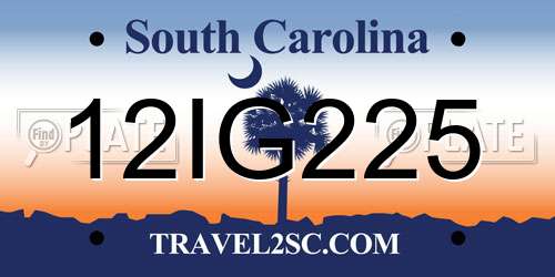 12IG225 South Carolina License Plate