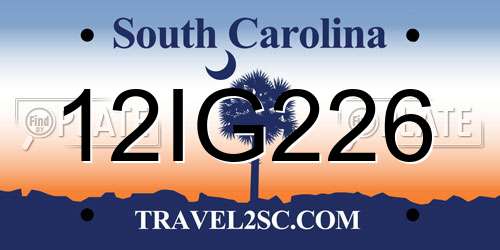 12IG226 South Carolina License Plate