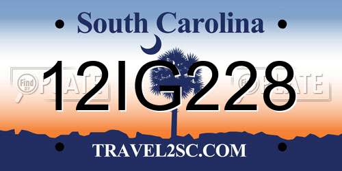 12IG228 South Carolina License Plate