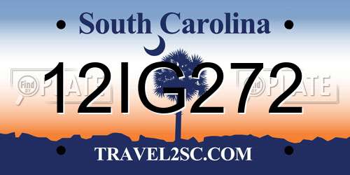 12IG272 South Carolina License Plate