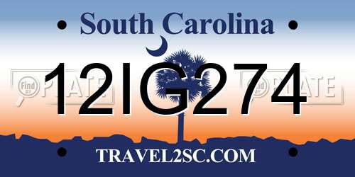 12IG274 South Carolina License Plate