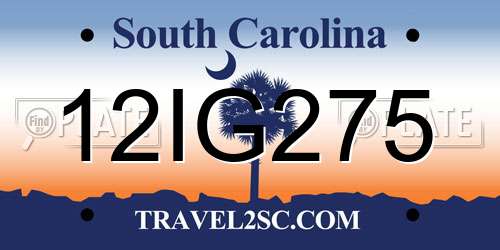 12IG275 South Carolina License Plate