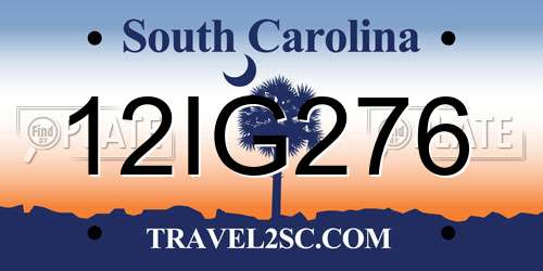 12IG276 South Carolina License Plate