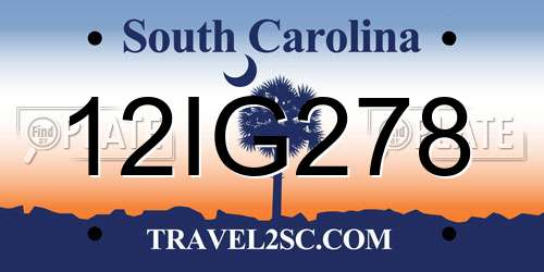 12IG278 South Carolina License Plate
