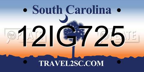 12IG725 South Carolina License Plate
